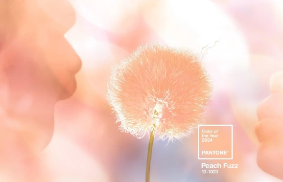 A Peach Fuzz é a tendência para 2024